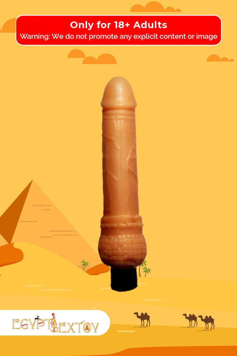 Mr. Dong Realistic Vibrator RSV-017